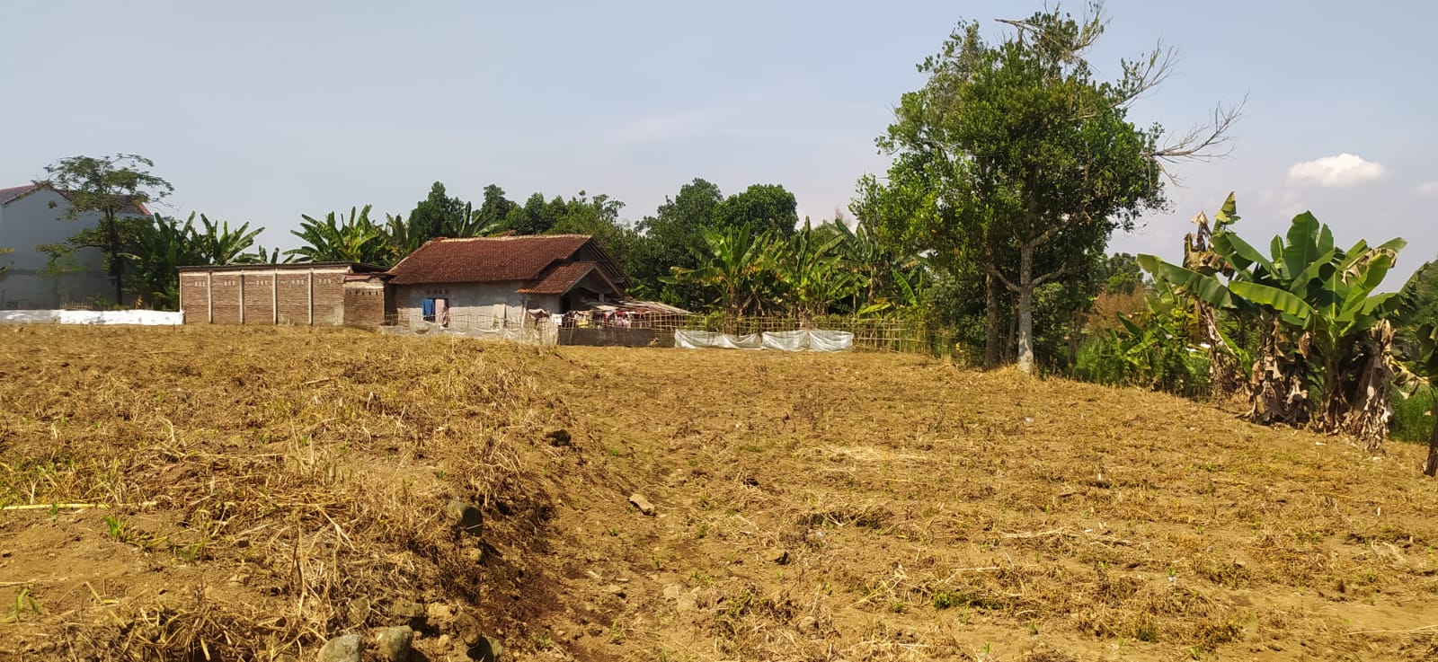 kavling campus residence purwokerto