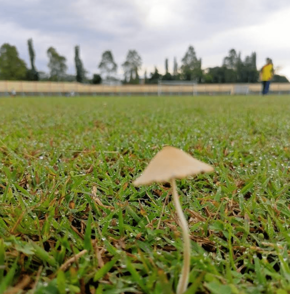 spot di gor satria purwokerto